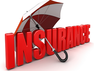 Leo Domestic Packers Movers